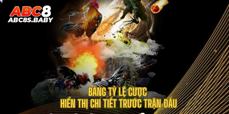 Bảng tỷ lệ cược hiển thị chi tiết trước trận đấu