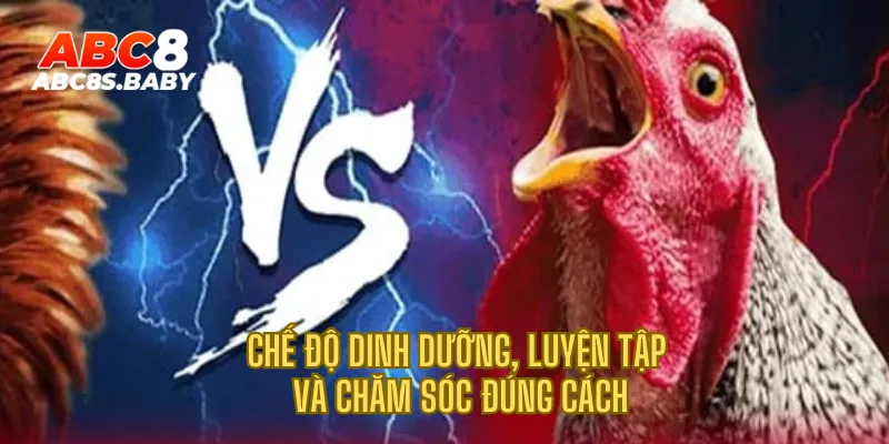 Chế độ dinh dưỡng, luyện tập và chăm sóc đúng cách