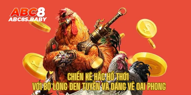 Chiến kê hắc hổ thới với bộ lông đen tuyền và dáng vẻ oai phong