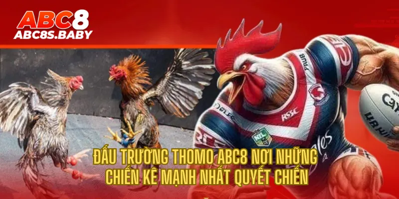 Đấu trường Thomo ABC8 nơi những chiến kê mạnh nhất quyết chiến