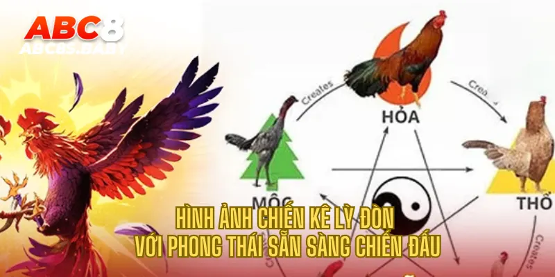 Hình ảnh chiến kê lỳ đòn với phong thái sẵn sàng chiến đấu
