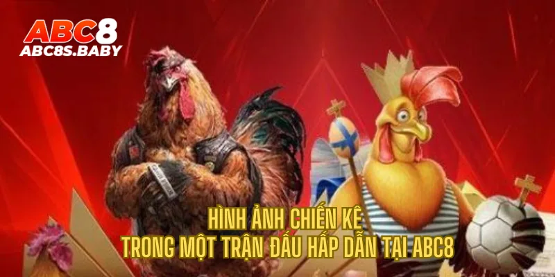 Hình ảnh chiến kê trong một trận đấu hấp dẫn tại ABC8