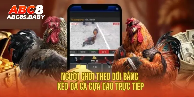 Người chơi theo dõi bảng kèo đá gà cựa dao trực tiếp