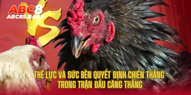 Thể lực và sức bền quyết định chiến thắng trong trận đấu căng thẳng